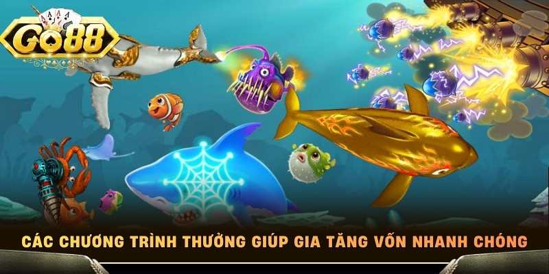 Các chương trình thưởng giúp gia tăng vốn nhanh chóng