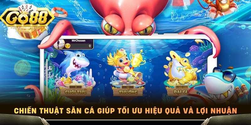 Chiến thuật săn cá giúp tối ưu hiệu quả và lợi nhuận