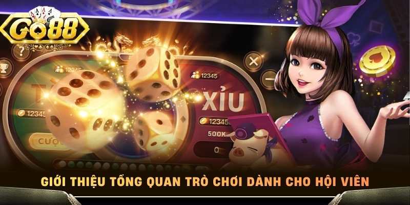 Giới thiệu tổng quan trò chơi dành cho hội viên